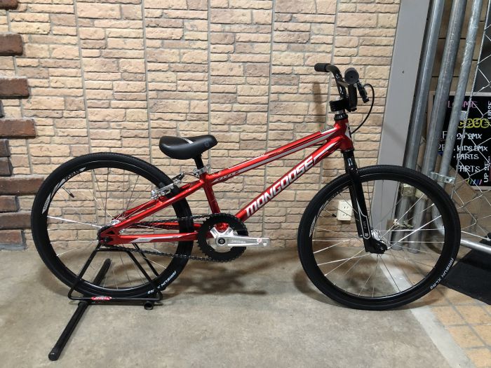 mongoose title mini