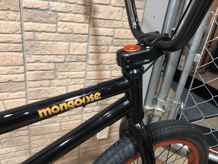 mongoose 21