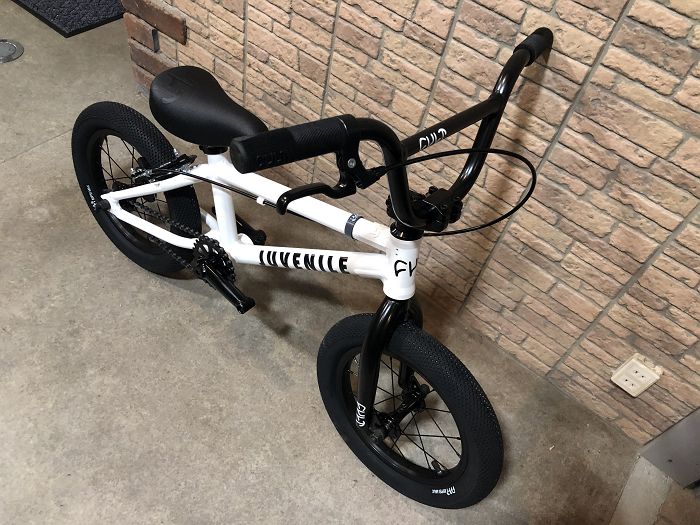 cult bike shop