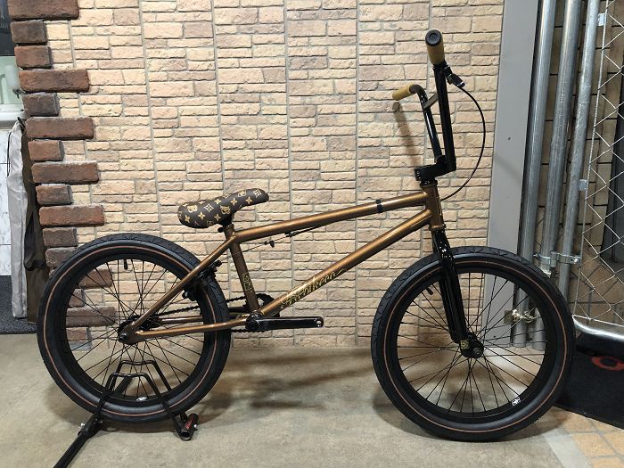 fit bike co brandon begin